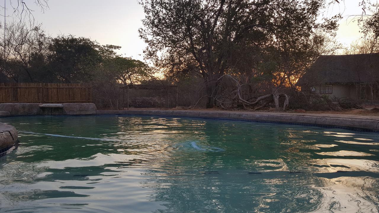 Awelani Lodge Masisi Kültér fotó